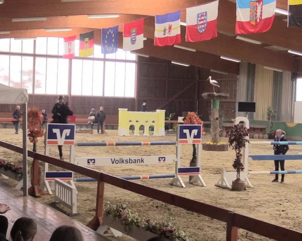 Reitturnier Warendorf-Freckenhorst 2016