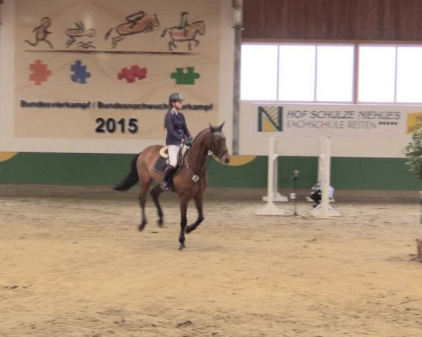 Reitturnier Warendorf-Freckenhorst 2016