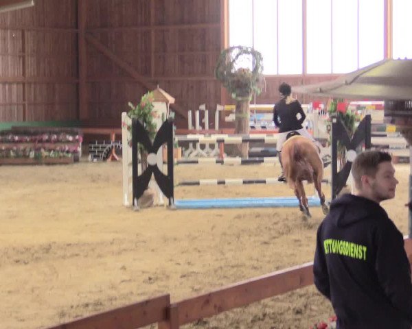 Reitturnier Warendorf-Freckenhorst 2016
