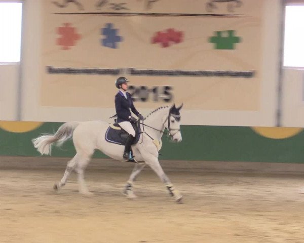 Reitturnier Warendorf-Freckenhorst 2016