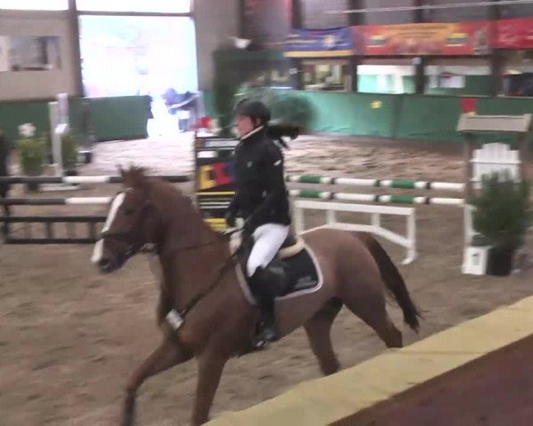 Reitturnier Heilbronn 2016