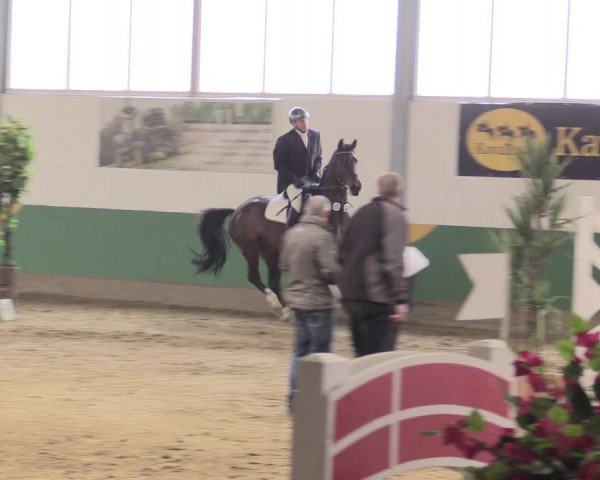 Reitturnier Warendorf-Freckenhorst 2016