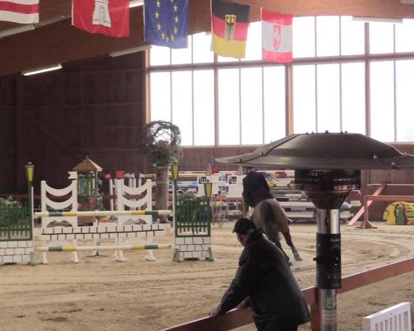 Reitturnier Warendorf-Freckenhorst 2016