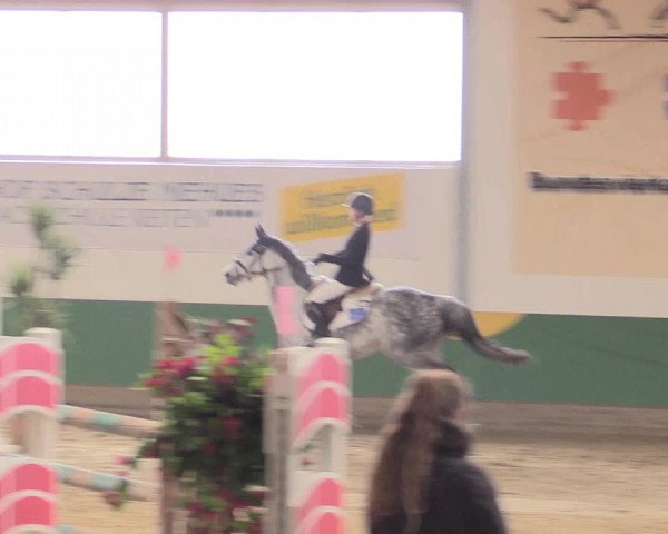 Reitturnier Warendorf-Freckenhorst 2016