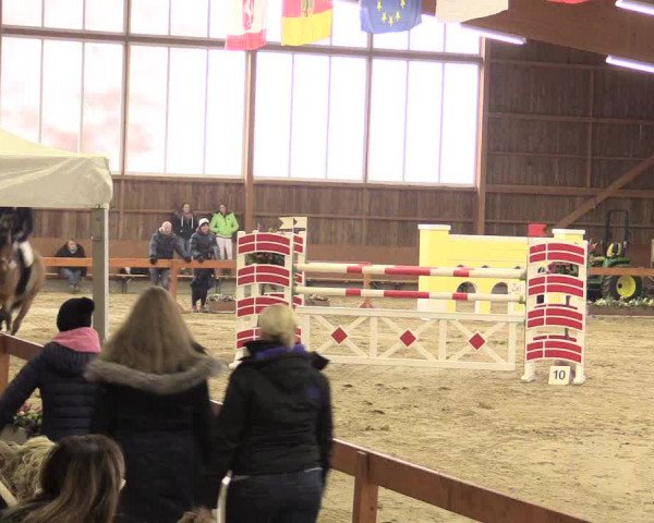Reitturnier Warendorf-Freckenhorst 2016