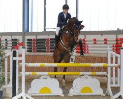 jumper Carino 626 (Holsteiner, 2011, from Cancara)