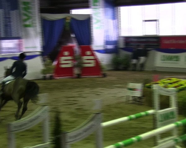 Hallenspringturnier Münster-Albachten 2016