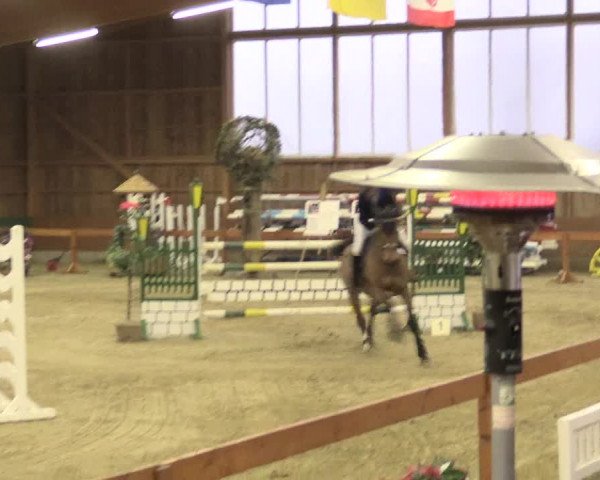 Reitturnier Warendorf-Freckenhorst 2016