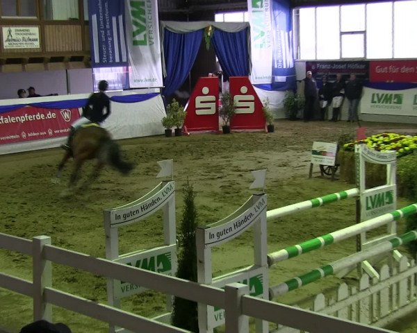 Hallenspringturnier Münster-Albachten 2016