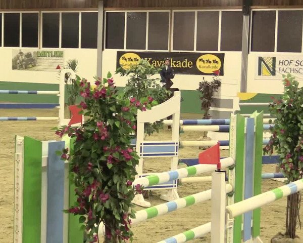 Reitturnier Warendorf-Freckenhorst 2016