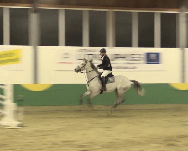 Reitturnier Warendorf-Freckenhorst 2016