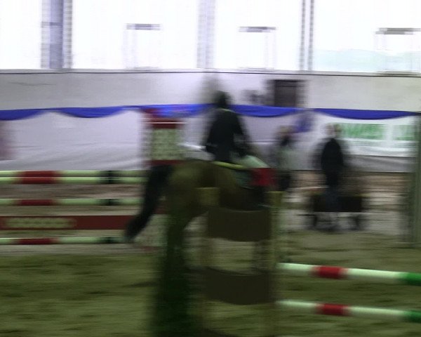 Hallenspringturnier Münster-Albachten 2016