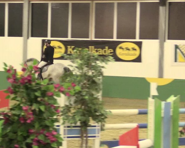 Reitturnier Warendorf-Freckenhorst 2016