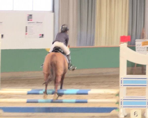 Reitturnier Warendorf-Freckenhorst 2016