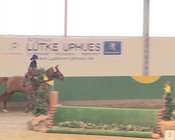Reitturnier Warendorf-Freckenhorst 2016
