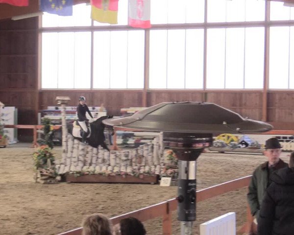 Reitturnier Warendorf-Freckenhorst 2016