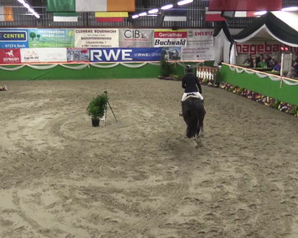 Keppelner Springfestival 2016