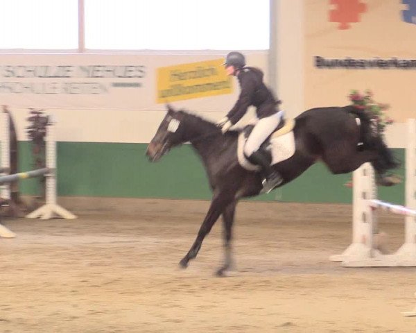 Reitturnier Warendorf-Freckenhorst 2016