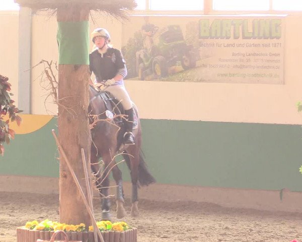 Reitturnier Warendorf-Freckenhorst 2016