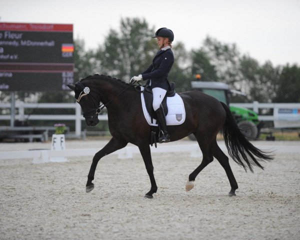 Dressurpferd Danse Fleur (Oldenburger, 2015, von Don Kennedy)
