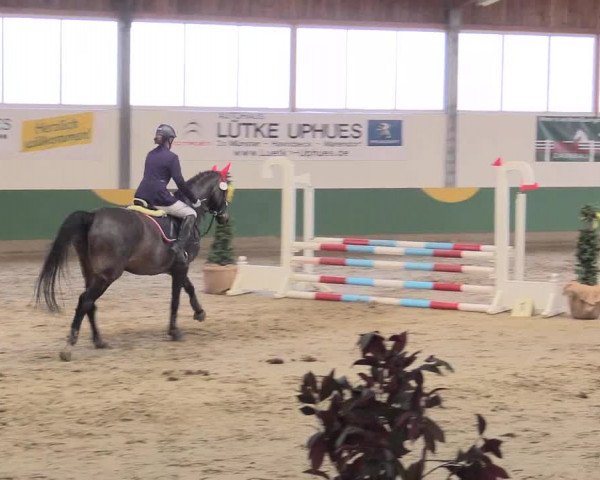 Reitturnier Warendorf-Freckenhorst 2016