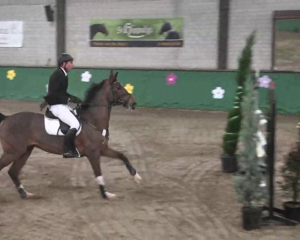 Reitturnier Heilbronn 2016