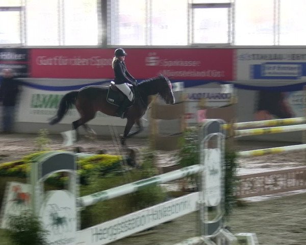 Hallenspringturnier Münster-Albachten 2016