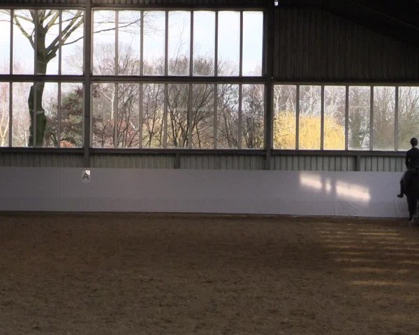 17. Grevener - Dressurtage 2016