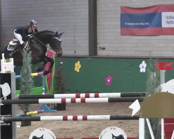 Reitturnier Heilbronn 2016