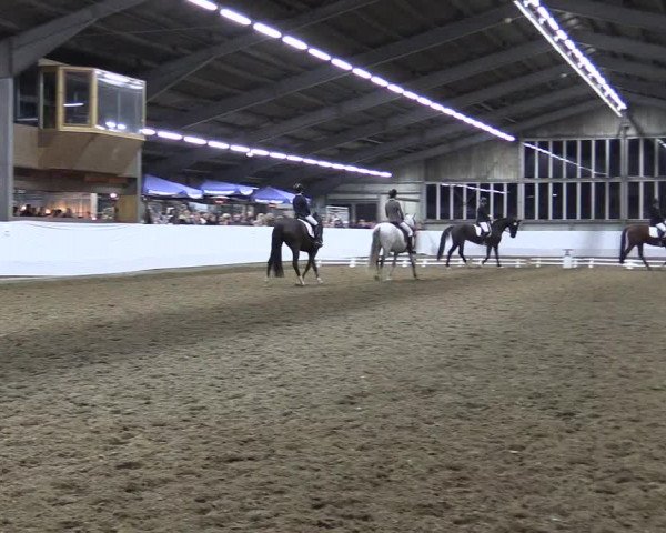 17. Grevener - Dressurtage 2016