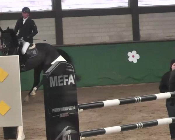 Reitturnier Heilbronn 2016