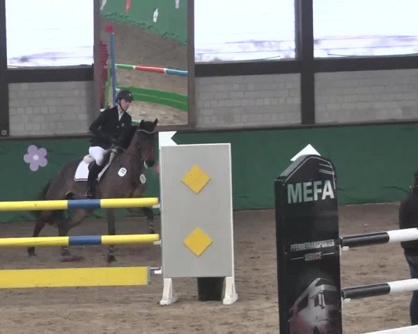 Reitturnier Heilbronn 2016