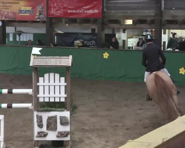 Reitturnier Heilbronn 2016