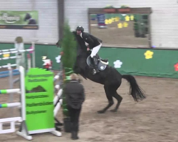 Reitturnier Heilbronn 2016
