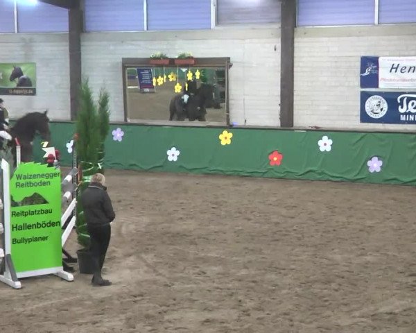 Reitturnier Heilbronn 2016