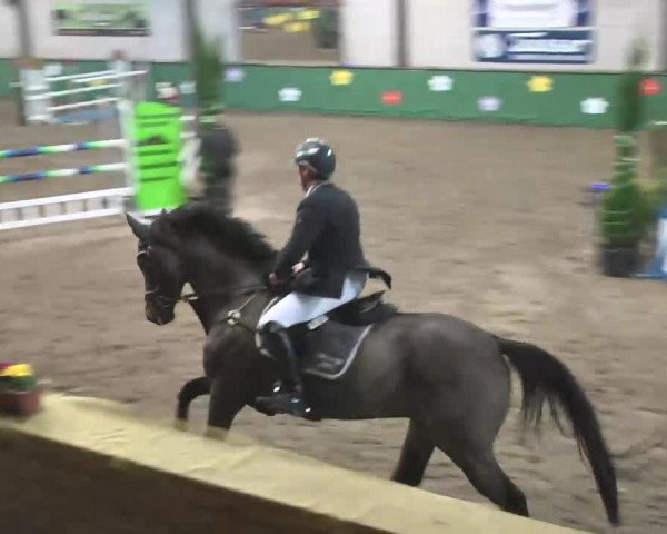Reitturnier Heilbronn 2016