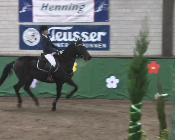Reitturnier Heilbronn 2016