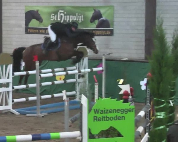Reitturnier Heilbronn 2016