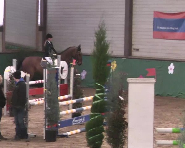 Reitturnier Heilbronn 2016