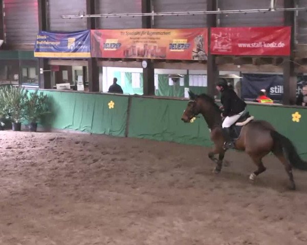 Reitturnier Heilbronn 2016
