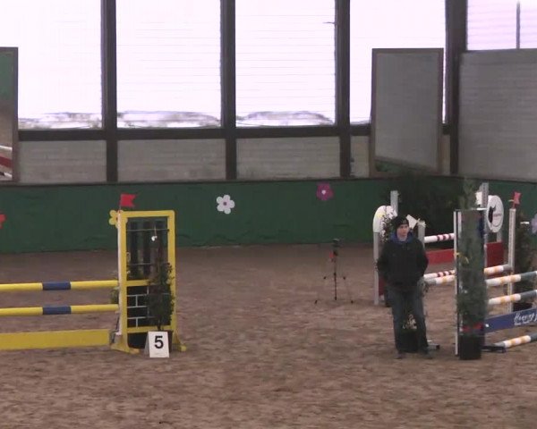 Reitturnier Heilbronn 2016