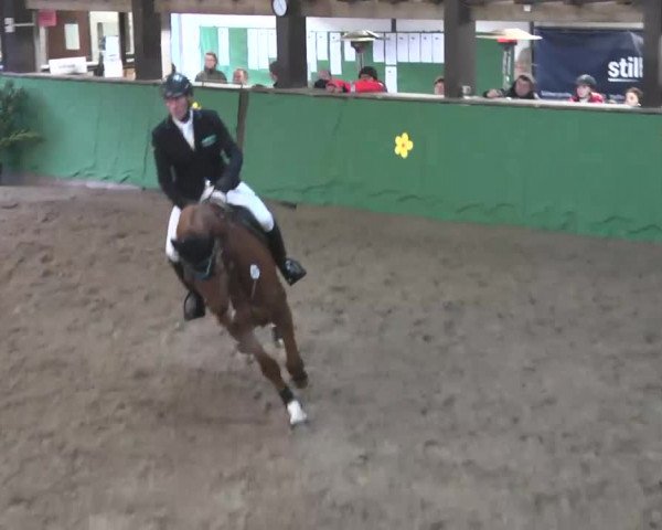 Reitturnier Heilbronn 2016