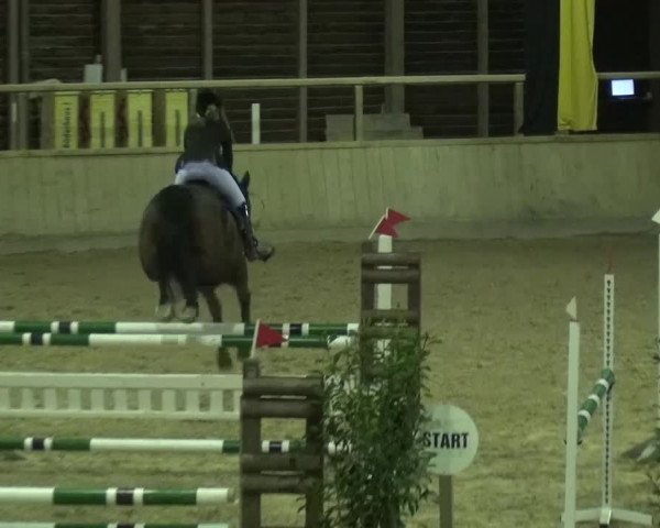 Reitturnier Heidelberg-Kirchheim 2016
