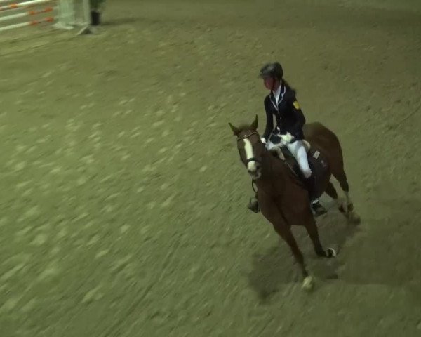 Reitturnier Heidelberg-Kirchheim 2016