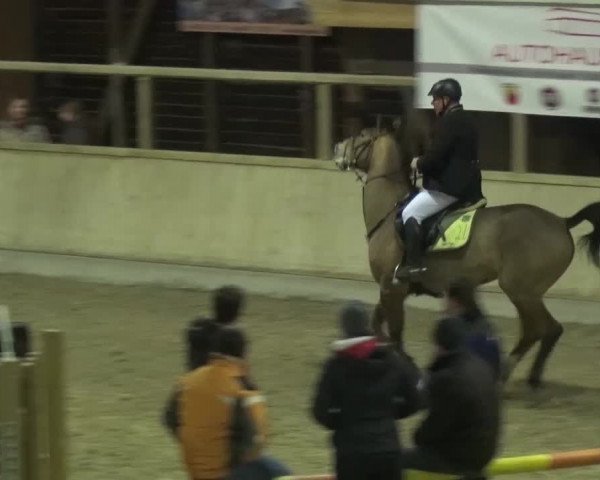 Reitturnier Heidelberg-Kirchheim 2016