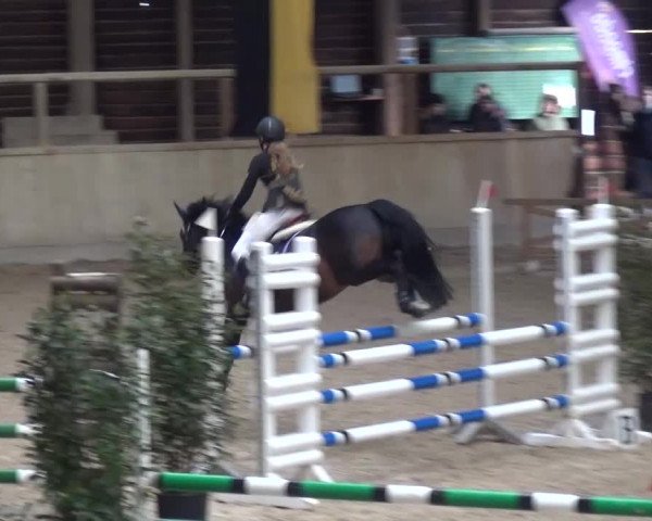 Reitturnier Heidelberg-Kirchheim 2016