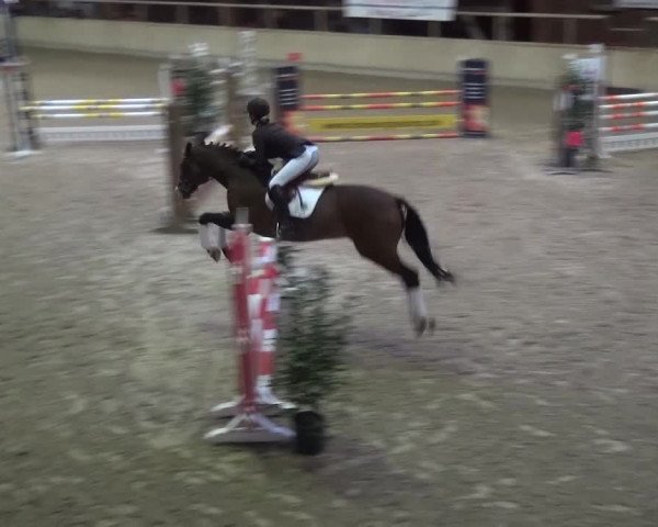 Reitturnier Heidelberg-Kirchheim 2016