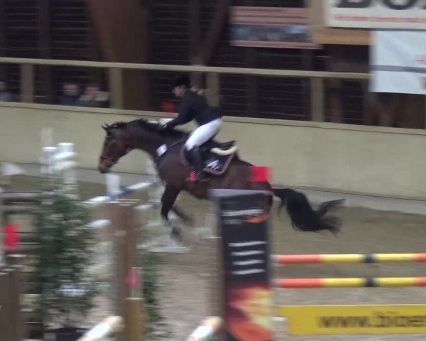 Reitturnier Heidelberg-Kirchheim 2016