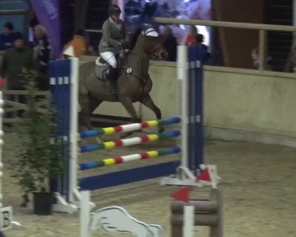 Reitturnier Heidelberg-Kirchheim 2016