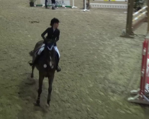 Reitturnier Heidelberg-Kirchheim 2016